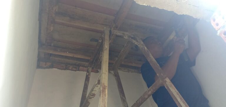 WhatsApp Image 2021-03-11 at 17.50.25