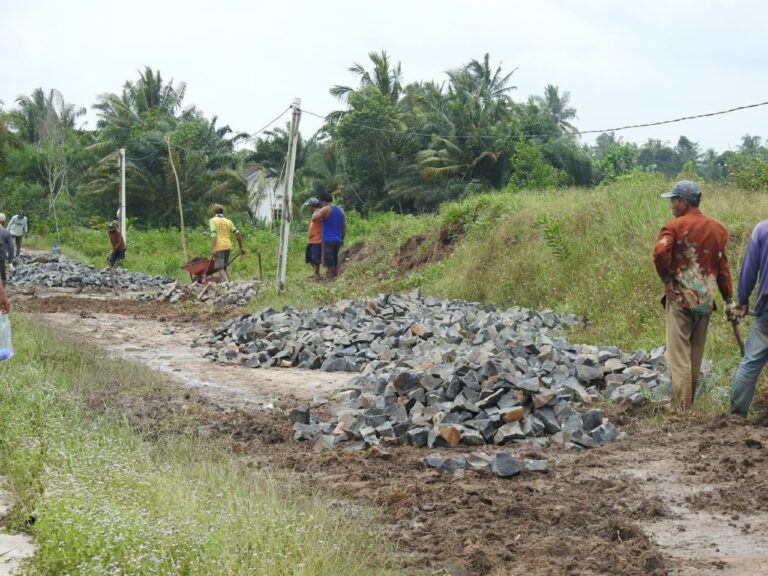 WhatsApp Image 2021-03-11 at 23.18.19