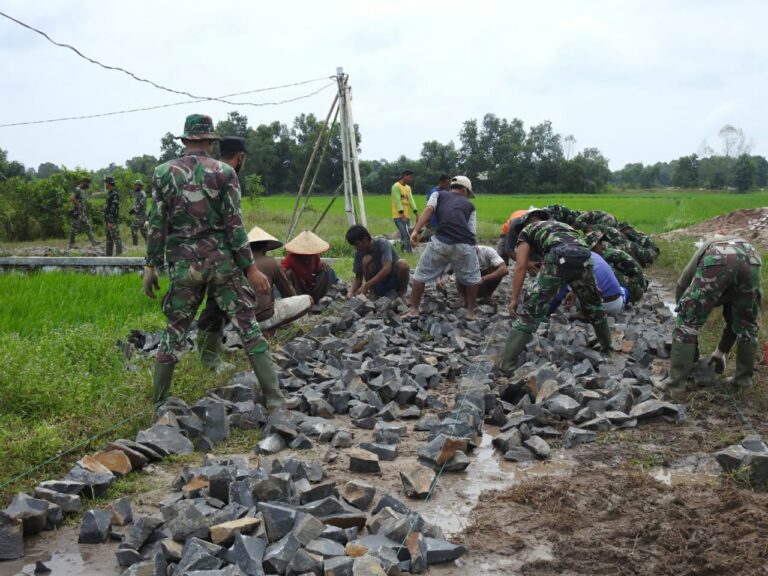 WhatsApp Image 2021-03-11 at 23.20.11