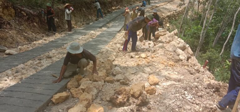 WhatsApp Image 2021-03-12 at 08.29.17