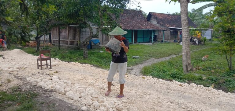 WhatsApp Image 2021-03-12 at 10.15.23