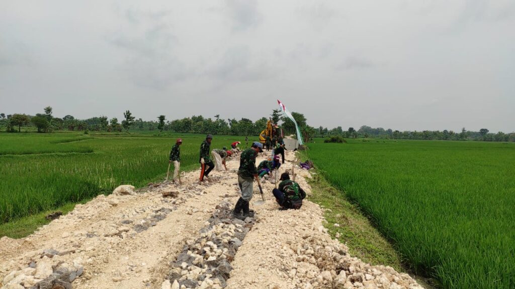 WhatsApp Image 2021-03-12 at 10.16.49