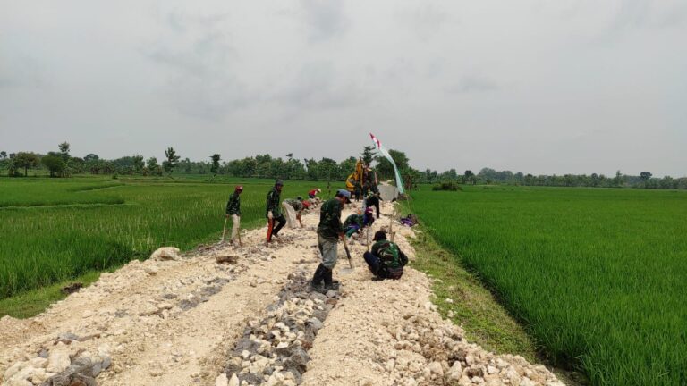 WhatsApp Image 2021-03-12 at 10.16.49