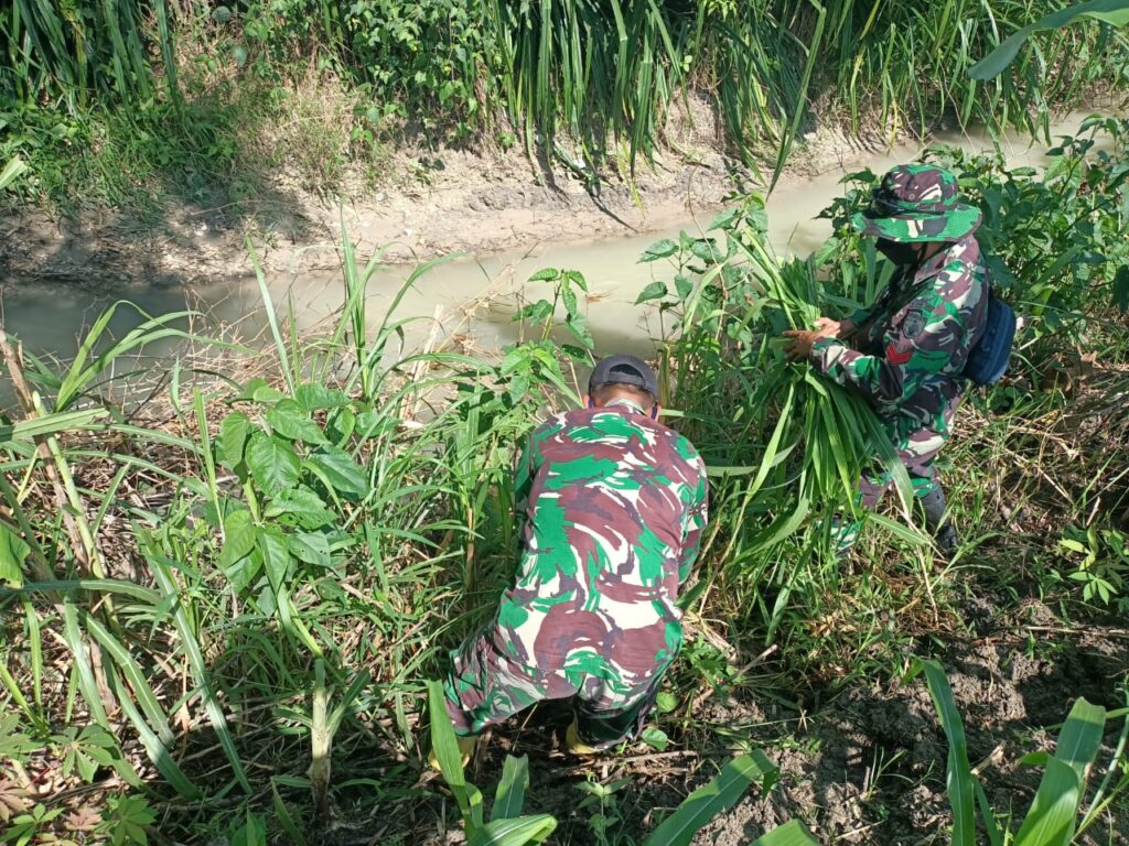 WhatsApp Image 2021-03-12 at 10.30.04