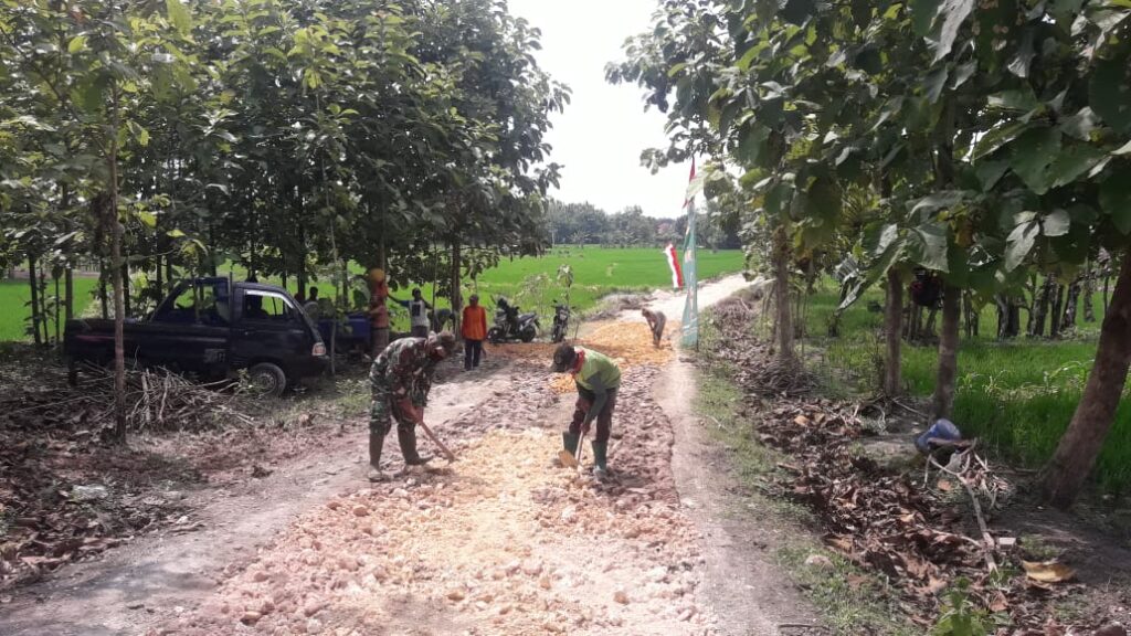 WhatsApp Image 2021-03-12 at 10.36.36