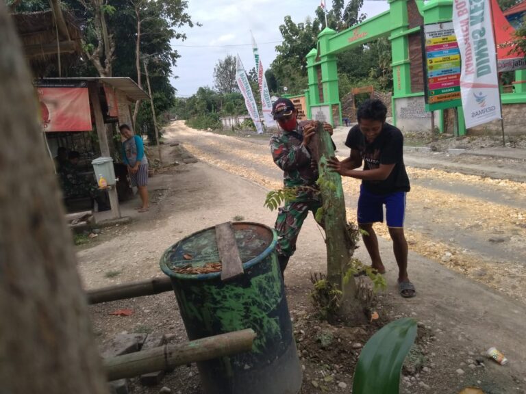 WhatsApp Image 2021-03-12 at 11.01.06