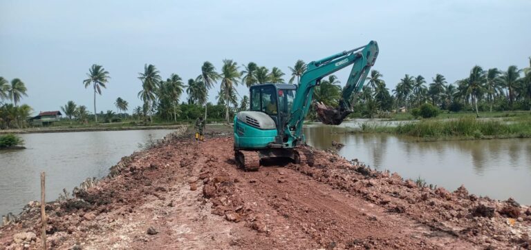 WhatsApp Image 2021-03-12 at 13.01.11