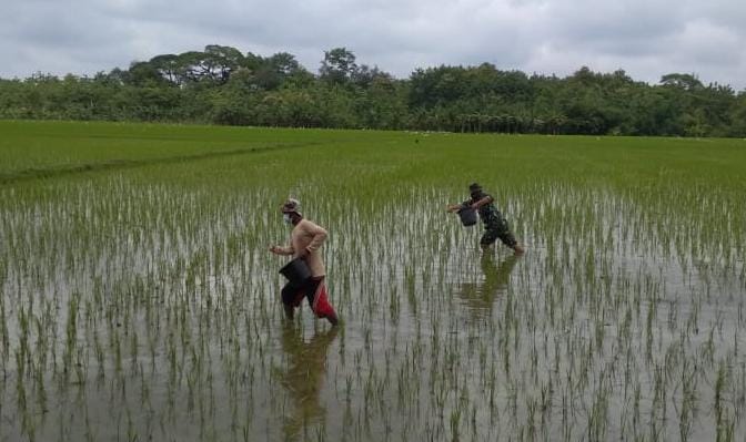 WhatsApp Image 2021-03-13 at 08.58.02