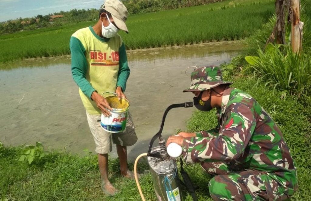 WhatsApp Image 2021-03-13 at 08.58.46