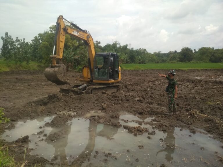 WhatsApp Image 2021-03-13 at 09.10.57