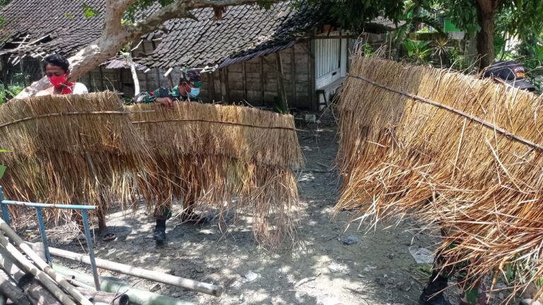 WhatsApp Image 2021-03-13 at 09.26.32