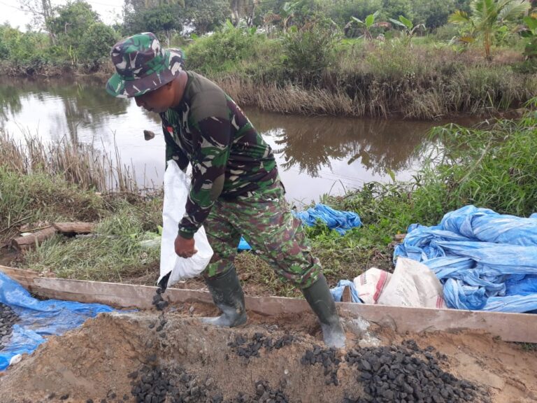 WhatsApp Image 2021-03-14 at 07.28.49