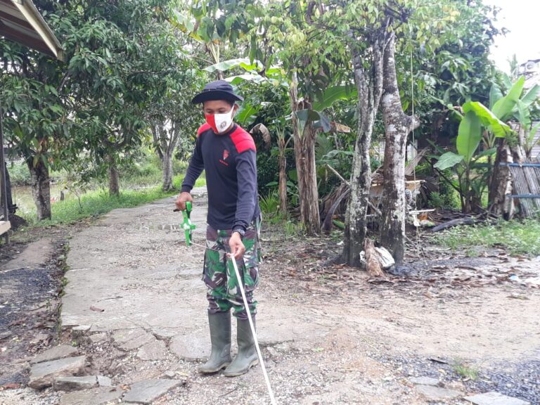 WhatsApp Image 2021-03-14 at 07.30.21