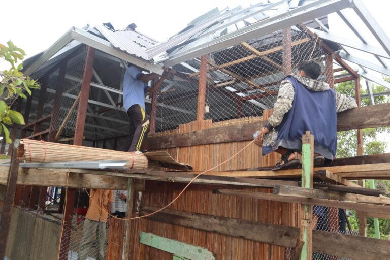 WhatsApp Image 2021-03-14 at 08.24.27