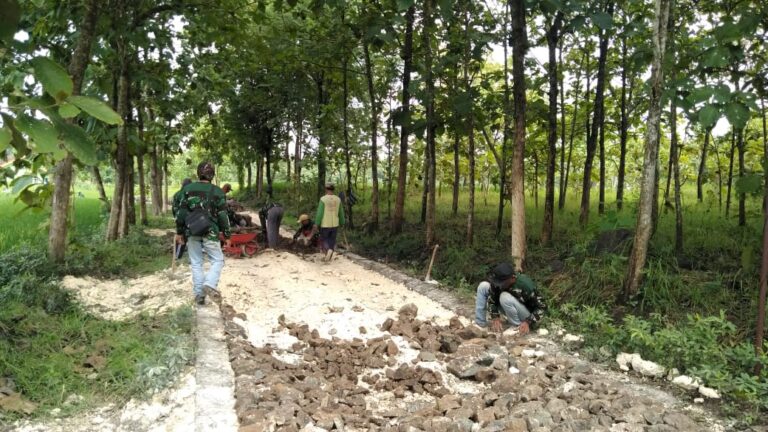 WhatsApp Image 2021-03-14 at 08.44.43