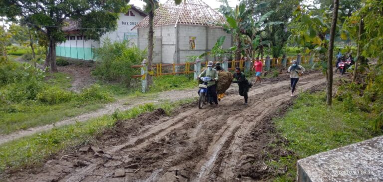 WhatsApp Image 2021-03-14 at 09.05.07