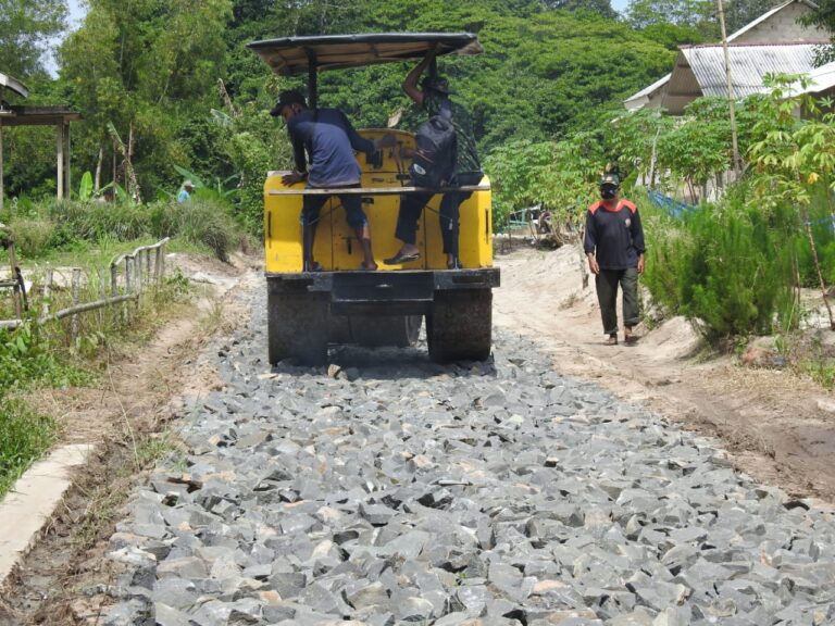 WhatsApp Image 2021-03-14 at 21.09.53