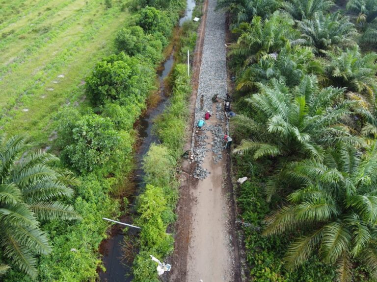 WhatsApp Image 2021-03-14 at 21.15.36