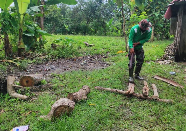 WhatsApp Image 2021-03-15 at 08.49.04