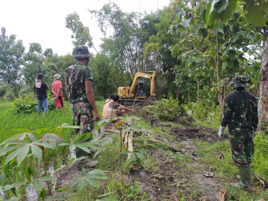 WhatsApp Image 2021-03-15 at 08.56.08