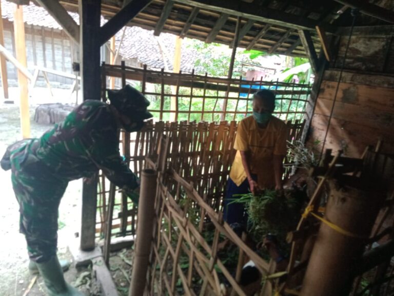 WhatsApp Image 2021-03-15 at 08.59.33