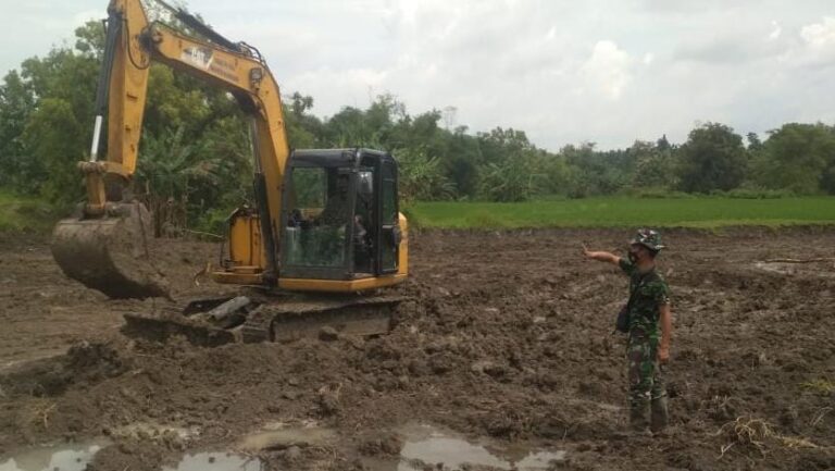 WhatsApp Image 2021-03-15 at 09.23.11