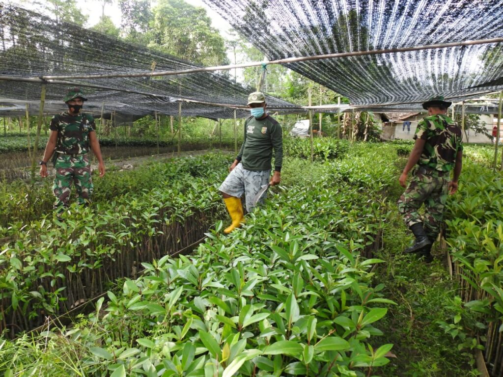 WhatsApp Image 2021-03-15 at 22.11.56