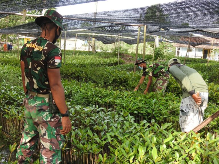 WhatsApp Image 2021-03-15 at 22.14.41