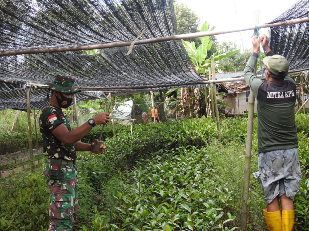 WhatsApp Image 2021-03-15 at 22.18.01