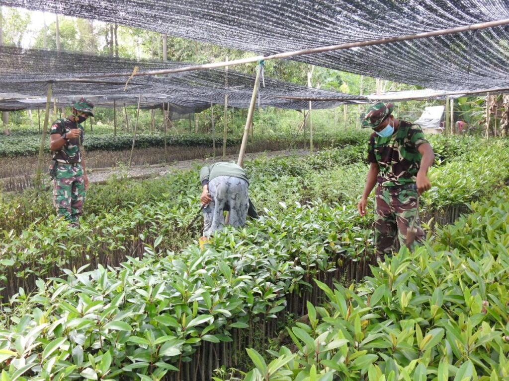 WhatsApp Image 2021-03-15 at 22.19.50