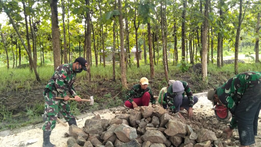 WhatsApp Image 2021-03-16 at 07.55.47