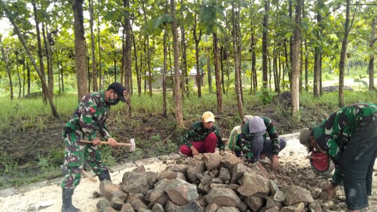 WhatsApp Image 2021-03-16 at 07.55.47