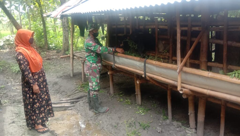 WhatsApp Image 2021-03-16 at 07.57.02