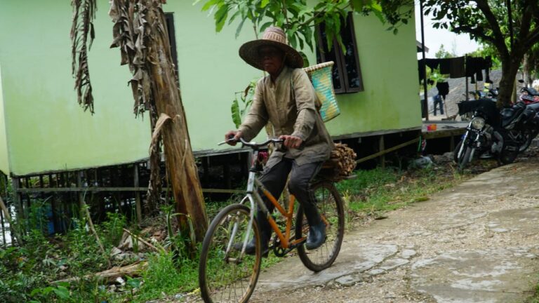 WhatsApp Image 2021-03-17 at 07.14.16