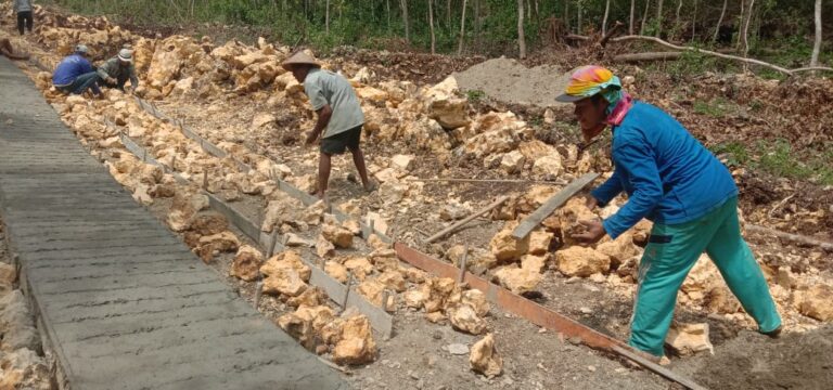 WhatsApp Image 2021-03-18 at 06.56.14