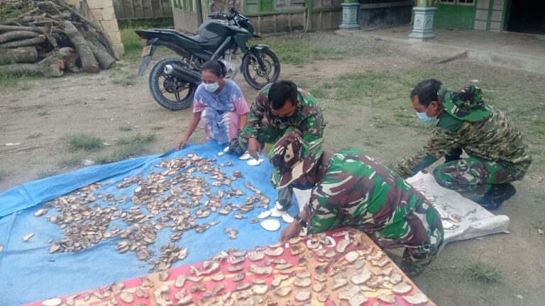 WhatsApp Image 2021-03-18 at 08.53.38