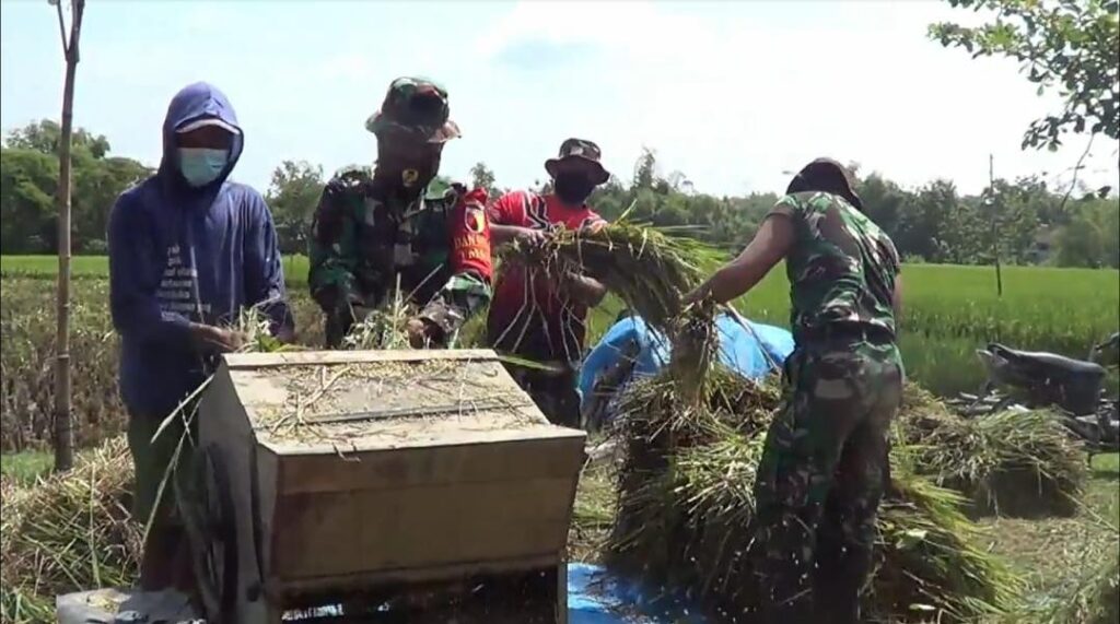 WhatsApp Image 2021-03-18 at 09.00.04