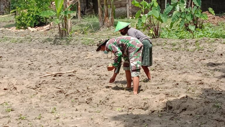 WhatsApp Image 2021-03-18 at 09.00.46