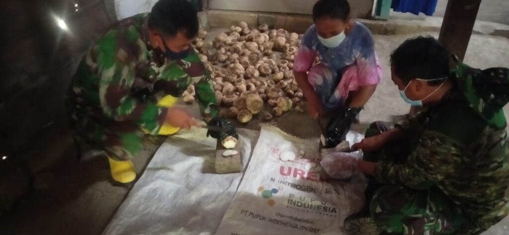 WhatsApp Image 2021-03-18 at 09.04.59