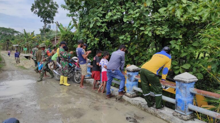 WhatsApp Image 2021-03-18 at 09.13.45