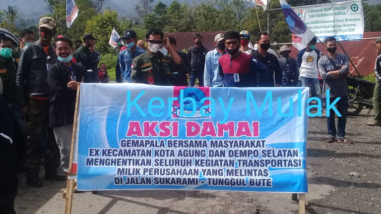 WhatsApp Image 2021-03-19 at 01.55.51