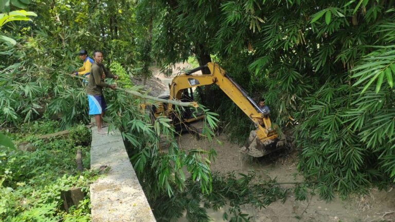 WhatsApp Image 2021-03-19 at 09.30.40