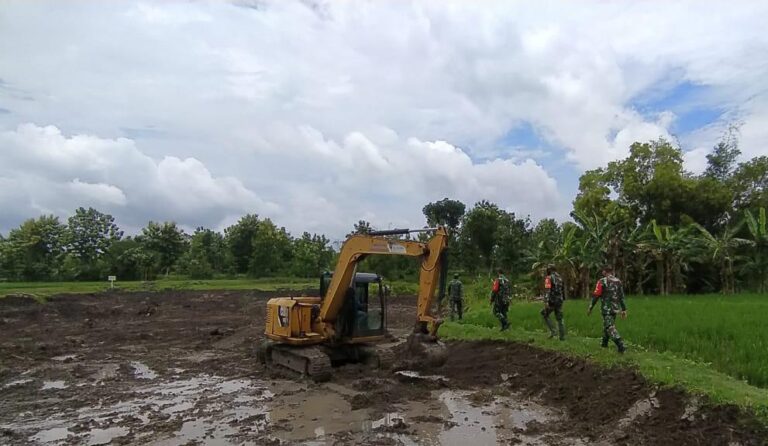 WhatsApp Image 2021-03-19 at 09.54.15