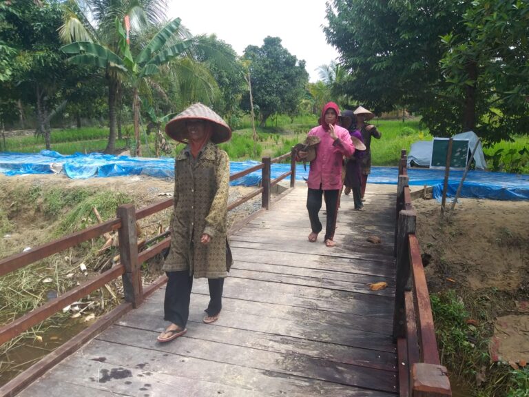 WhatsApp Image 2021-03-19 at 10.39.22