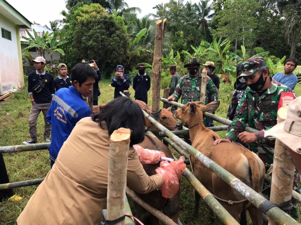 WhatsApp Image 2021-03-19 at 12.25.56