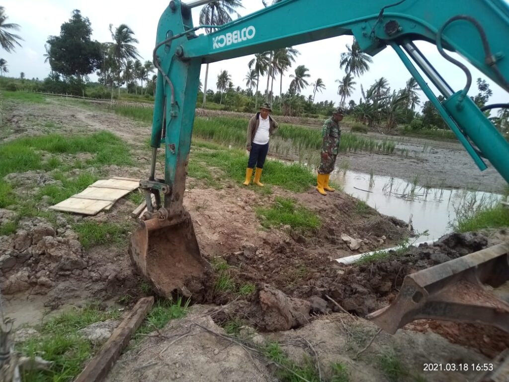 WhatsApp Image 2021-03-19 at 13.08.19