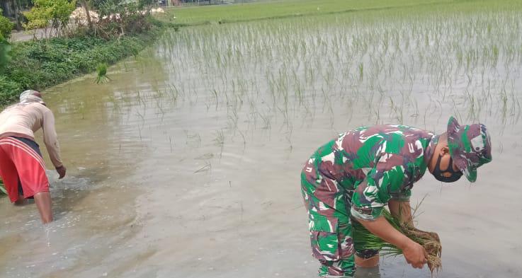 WhatsApp Image 2021-03-20 at 09.10.49