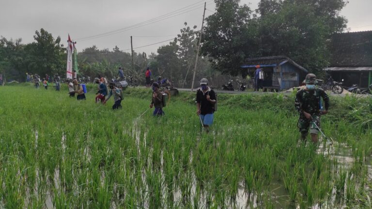 WhatsApp Image 2021-03-20 at 09.11.09