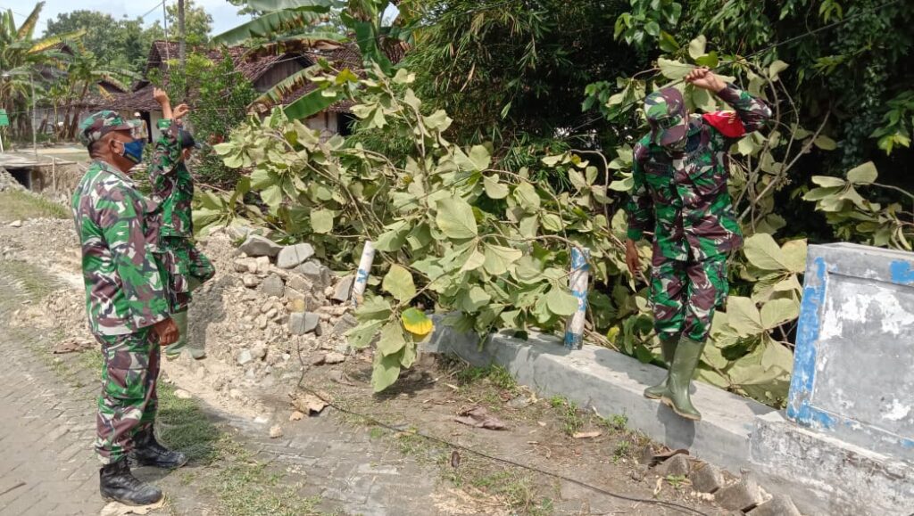 WhatsApp Image 2021-03-20 at 09.43.43