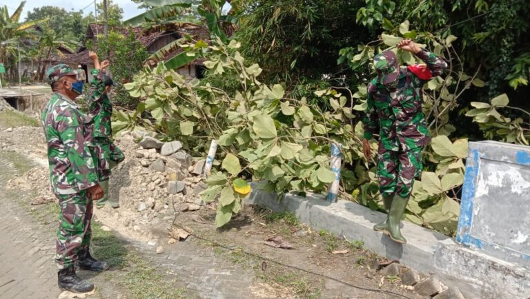 WhatsApp Image 2021-03-20 at 09.43.43